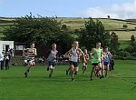 Click on thumbnail for larger photo